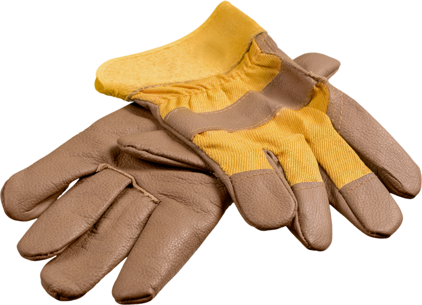 Leather Work Gloves Isolated